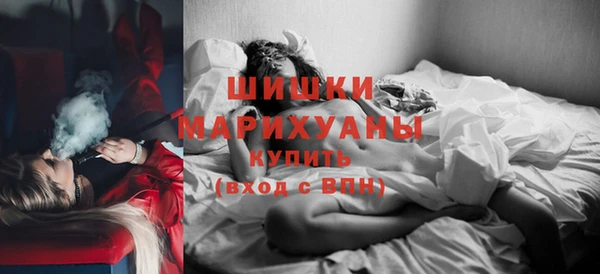 бошки Алексин