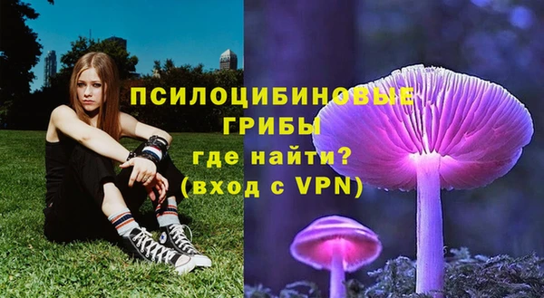 a pvp Алексеевка