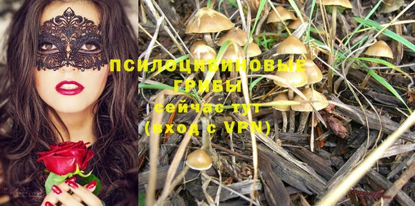 бошки Алексин