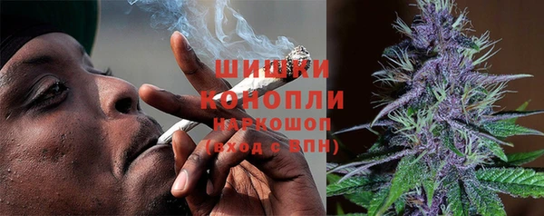 бошки Алексин