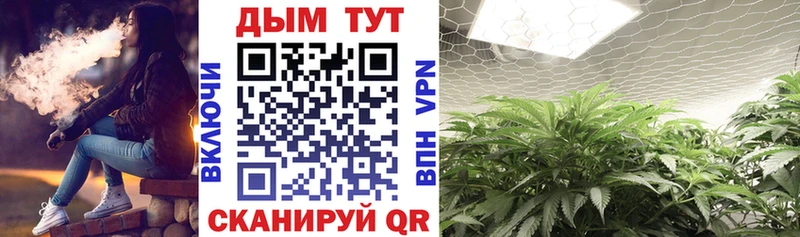 Бошки марихуана THC 21%  Пикалёво 